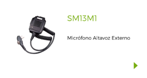 SM13M1